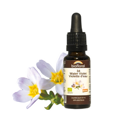 Violette d'eau