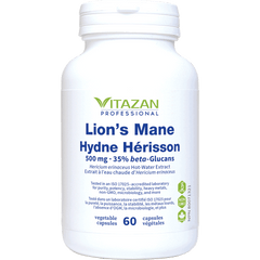 Lion’s Mane