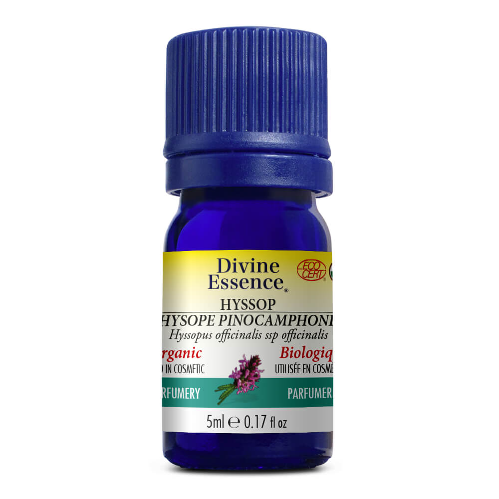 Hysope Pinocamphone Bio.