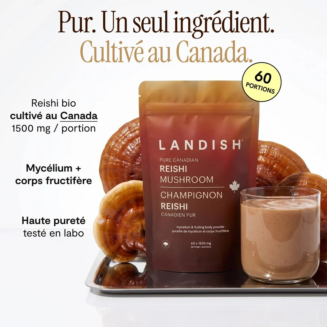 Reishi