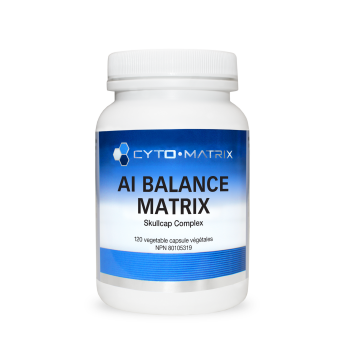 AI Balance Matrix