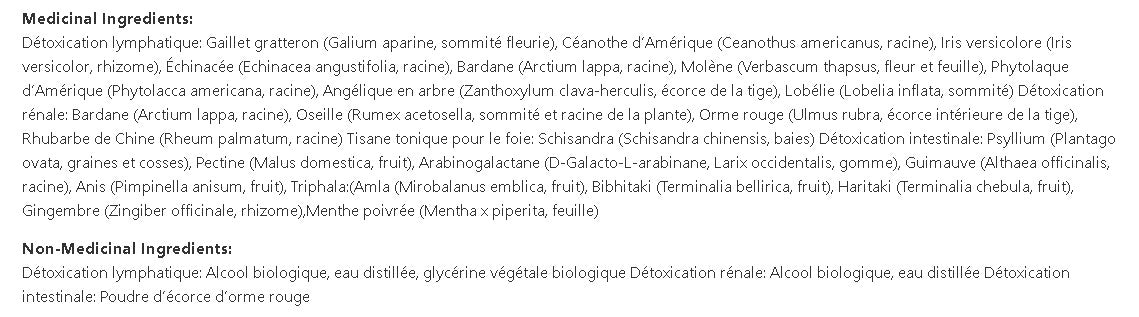 Detox 4 saisons